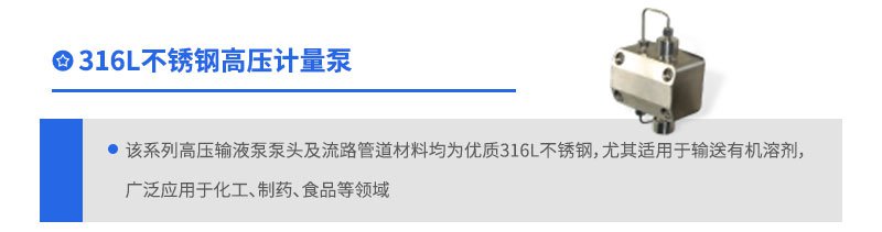 316L不銹鋼高壓計(jì)量泵