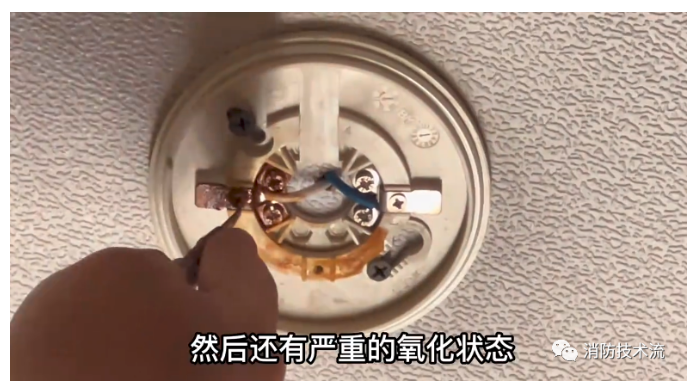 1668044604880894.png image.png