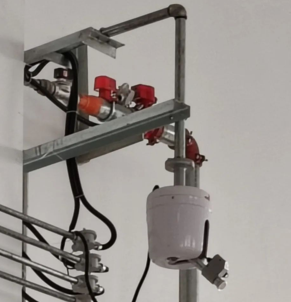 1731123459505381.png image.png